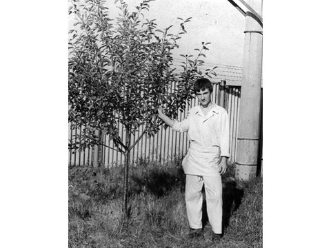 Foto 14